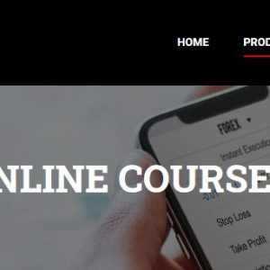 FestX - Main Online Course