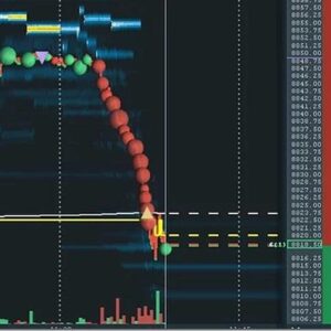 Scott-Pulcini-NQ-Full-Order-Flow-Course