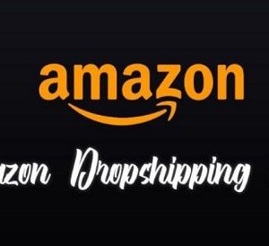 andrew-giorgi-amazon-walmart-dropshipping-course