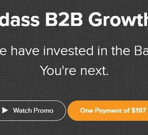 The Badass B2B Growth Guide