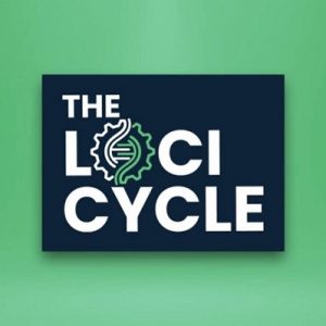 chris-munch-the-loci-cycle