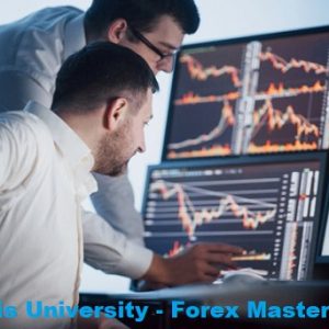 Dapo Willis University - Forex Mastery Course