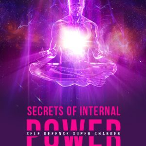 david-snyder-secrets-of-internal-power